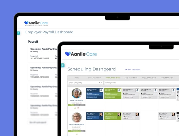 Employee Payroll Dashboard within Aaniie Home Care System