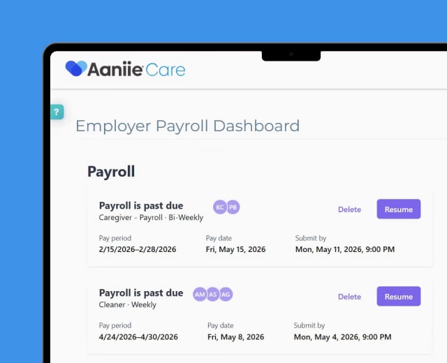 Aaniie Payroll employer payroll dashboard displayed on a computer screen